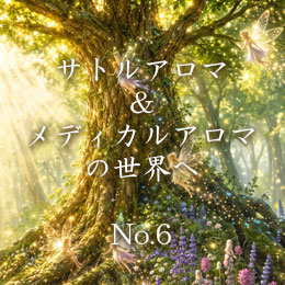 サトルアロマ&メディカルアロマの世界へ No6