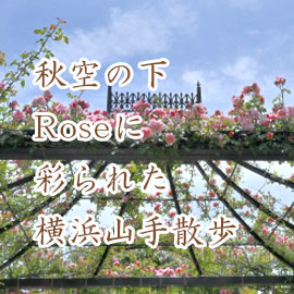 秋空の下Roseに彩られた横浜山手散歩